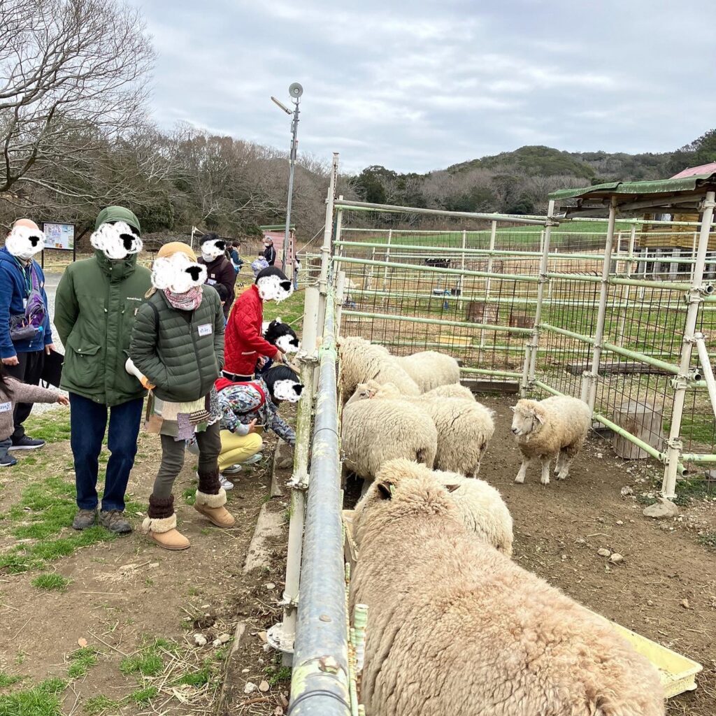 めざせ！ひつじ博士［デンマーク牧場］