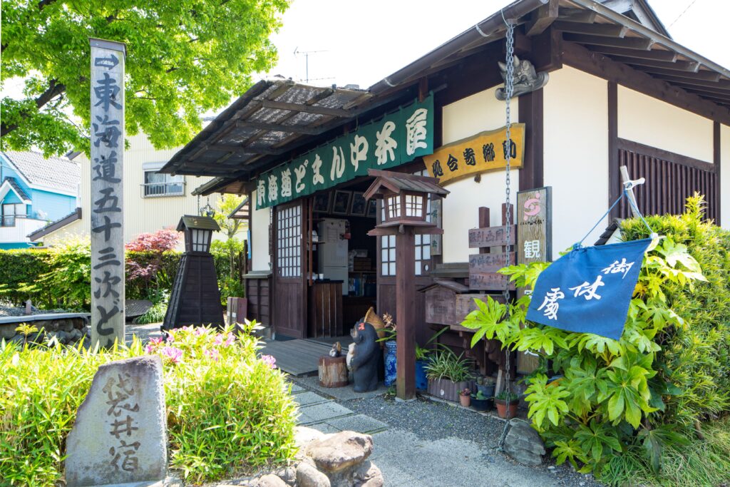 美味しいお茶の淹れ方と効能［東海道どまん中茶屋］