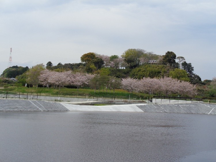 スタンプラリーで久野城を知ろう［<ruby><rb>久野城址保存会</rb><rt>くのじょうしほぞんかい</rt></ruby>］